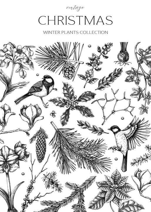 Vintage Christmas card design. Winter nature background. Conifer trees, winter flowers, birds sketches. Hand drawn vector illustration. NOT AI generated